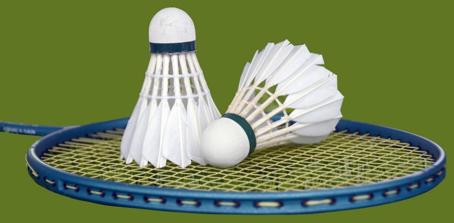 Badminton Kinder und Jugend - Imagebild (3) cut.jpg